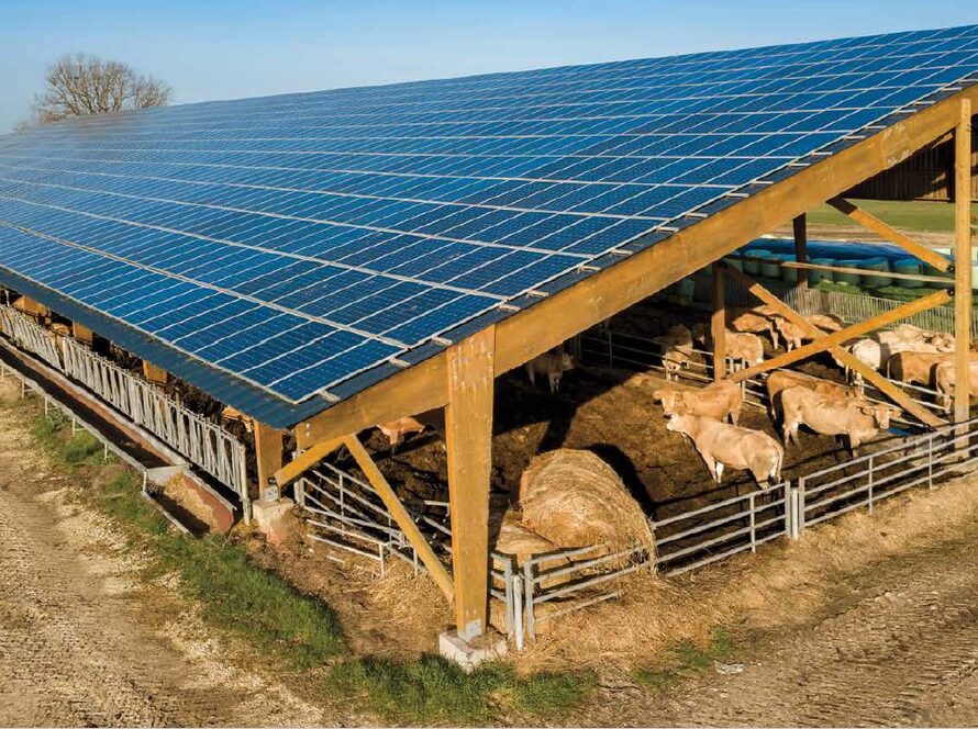 courants vagabonds étable